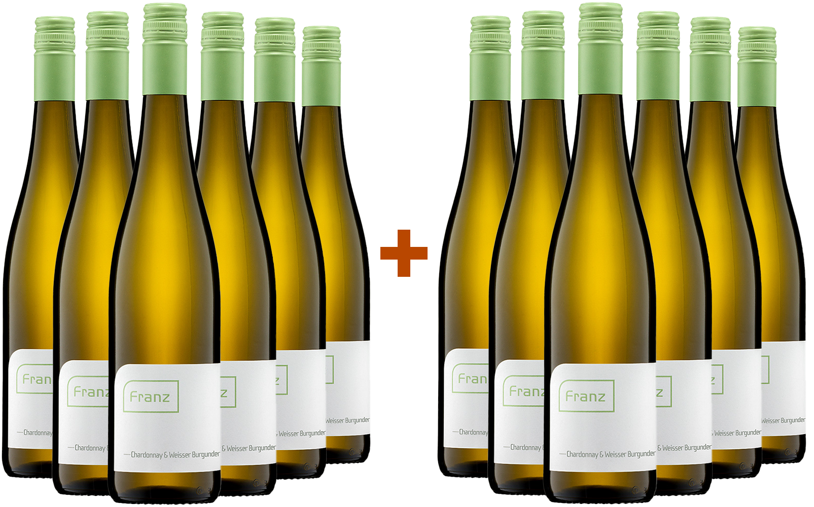 6+6 2024 Riesling trocken Biowein Bio BIO
