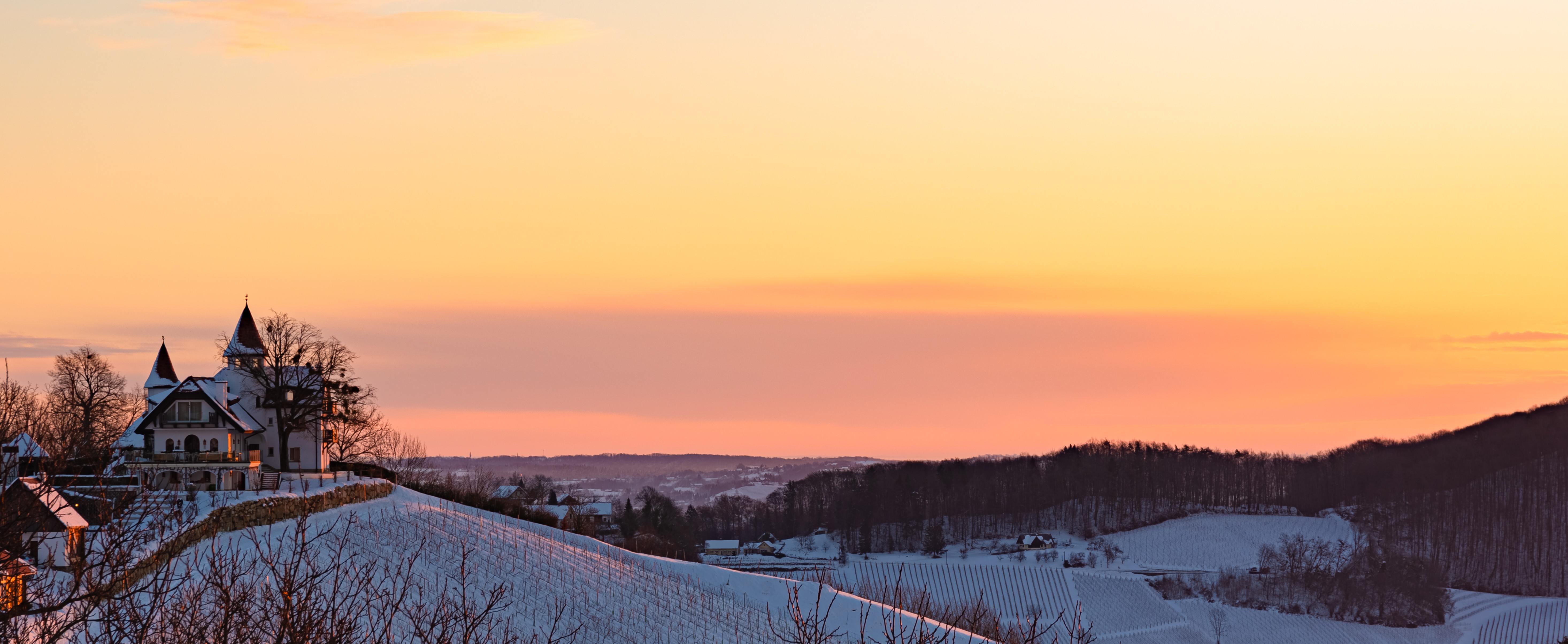 landscape-of-sunrise-over-the-the-austrian-vineyar-2024-10-17-09-57-46-utc