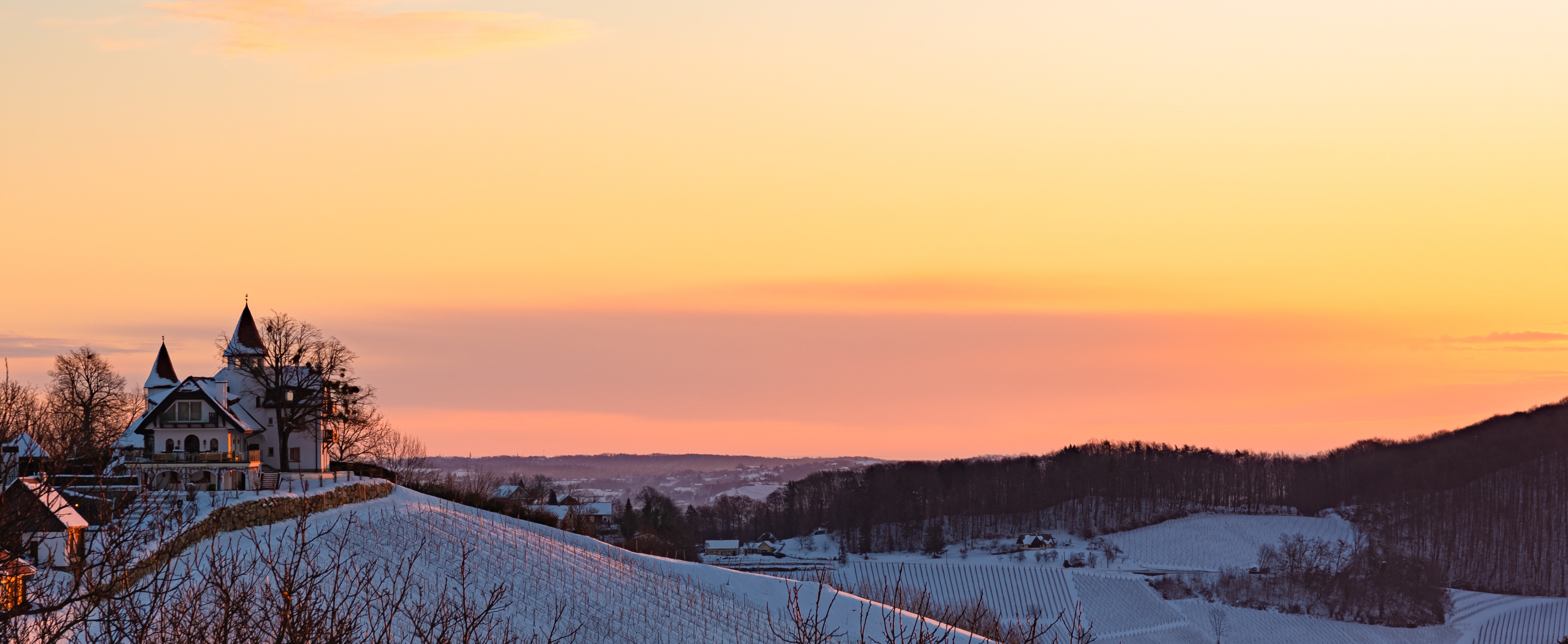 landscape-of-sunrise-over-the-the-austrian-vineyar-2024-10-17-09-57-46-utc landscape-of-sunrise-over-the-the-austrian-vineyar-2024-10-17-09-57-46-utc