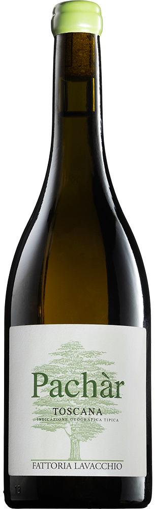2024 Pàchar Toscana IGP BIO