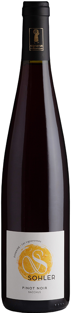 2024 Pinot Noir Alsace AOP BIO 2024 Pinot Noir Alsace AOP BIO