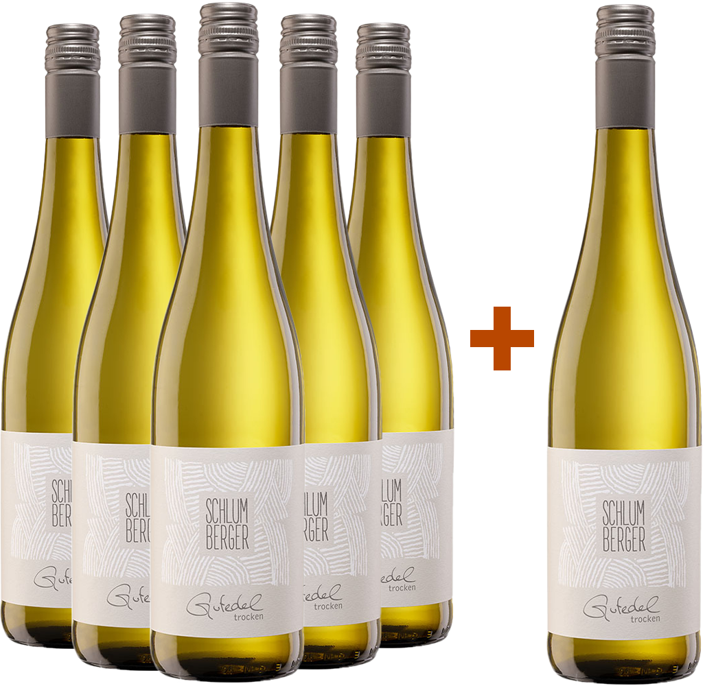 5+1 Paket Gutedel trocken