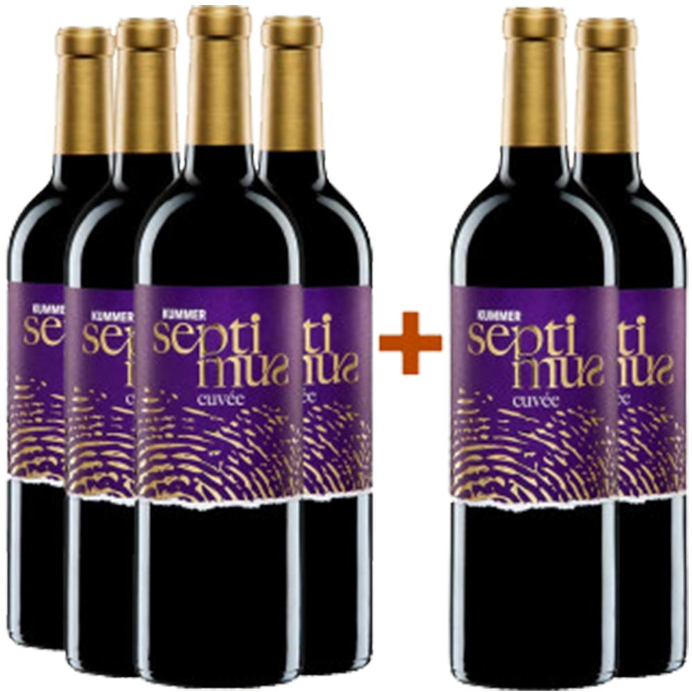 4+2 Cuvée SEPTIMUS Paket trocken 4+2 Cuvée SEPTIMUS Paket trocken