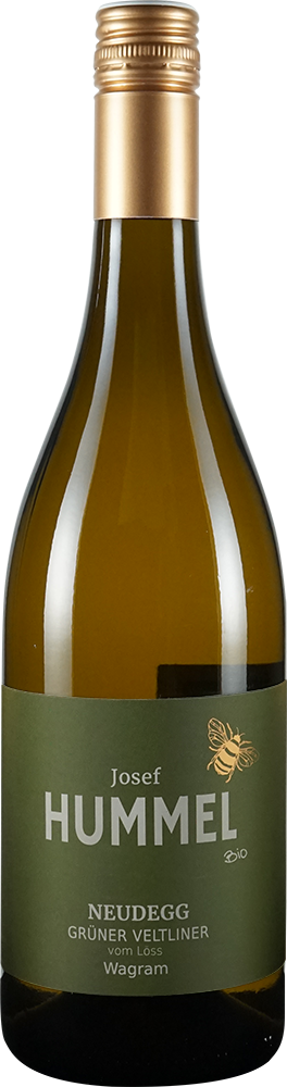 2024 Grüner Veltliner vom Löss BIO