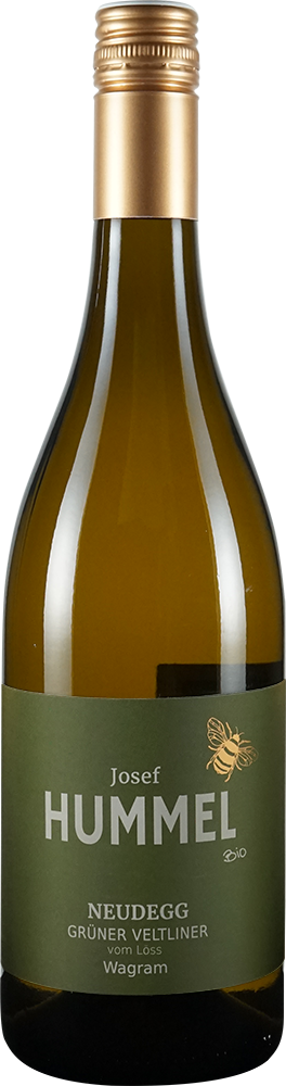 2024 Grüner Veltliner vom Löss BIO 2024 Grüner Veltliner vom Löss BIO