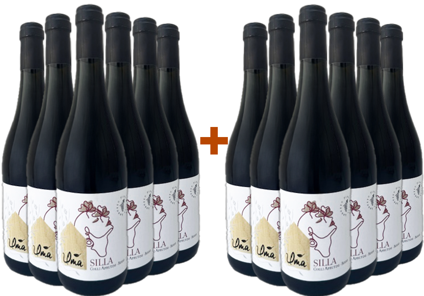 6+6 Paket Silla Colli Aprutini IGP 6+6 Paket Silla Colli Aprutini IGP