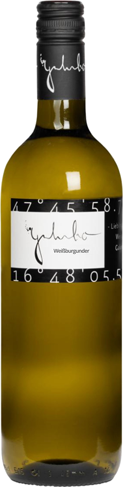 2024 Weißburgunder 2024 Weißburgunder