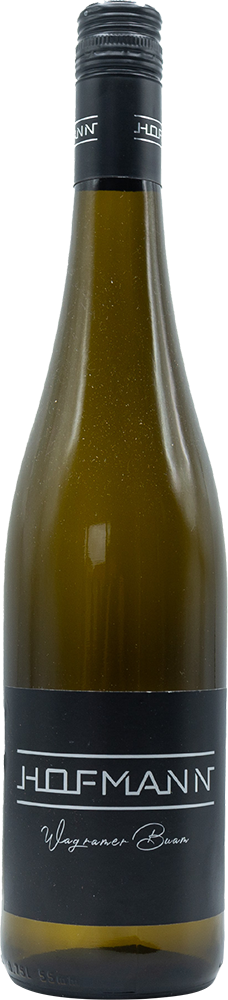 2024 Grüner Veltliner Wagramer Buam