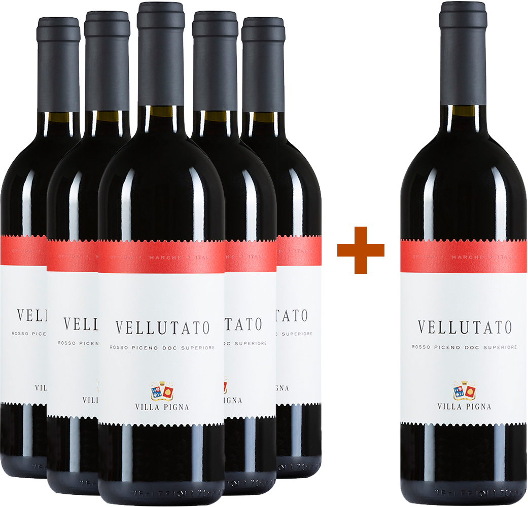 5+1 Paket Vellutato Rosso Piceno Superiore DOC 5+1 Paket Vellutato Rosso Piceno Superiore DOC