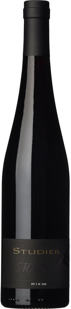 2019 #PIN 500 MASTER BIO