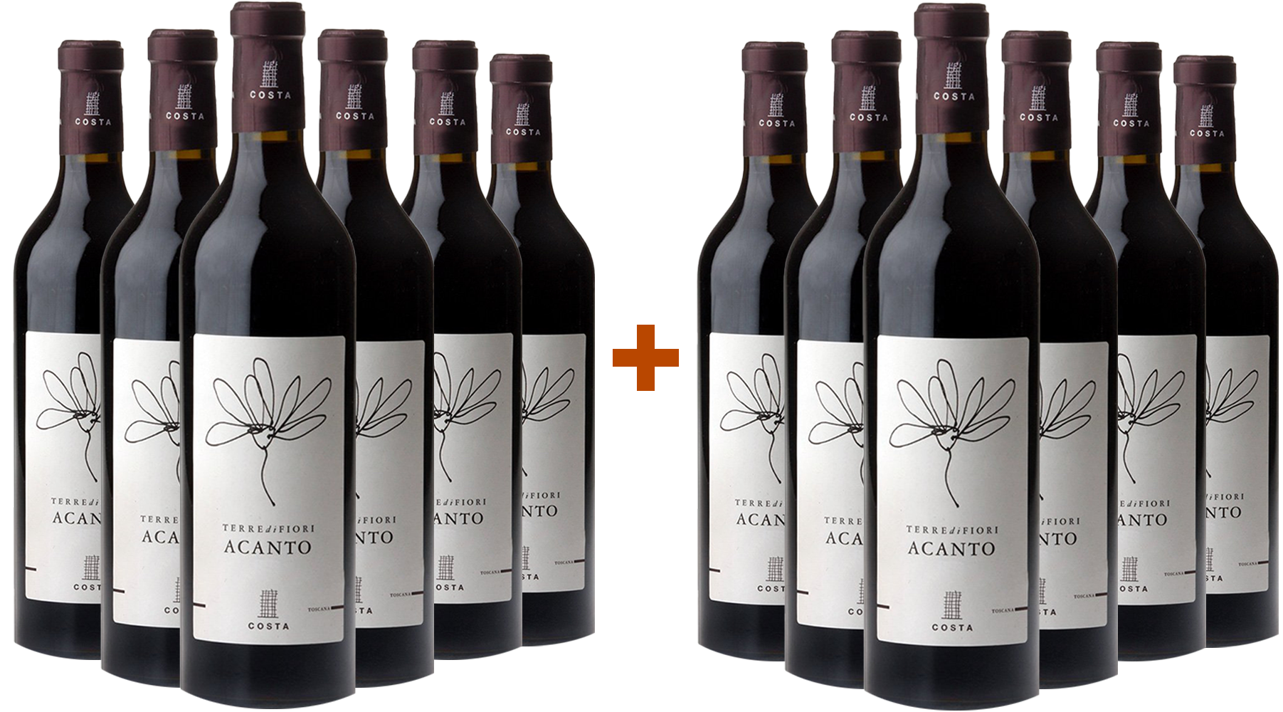 6+6 Terredifiori Acanto Toscana IGP Paket