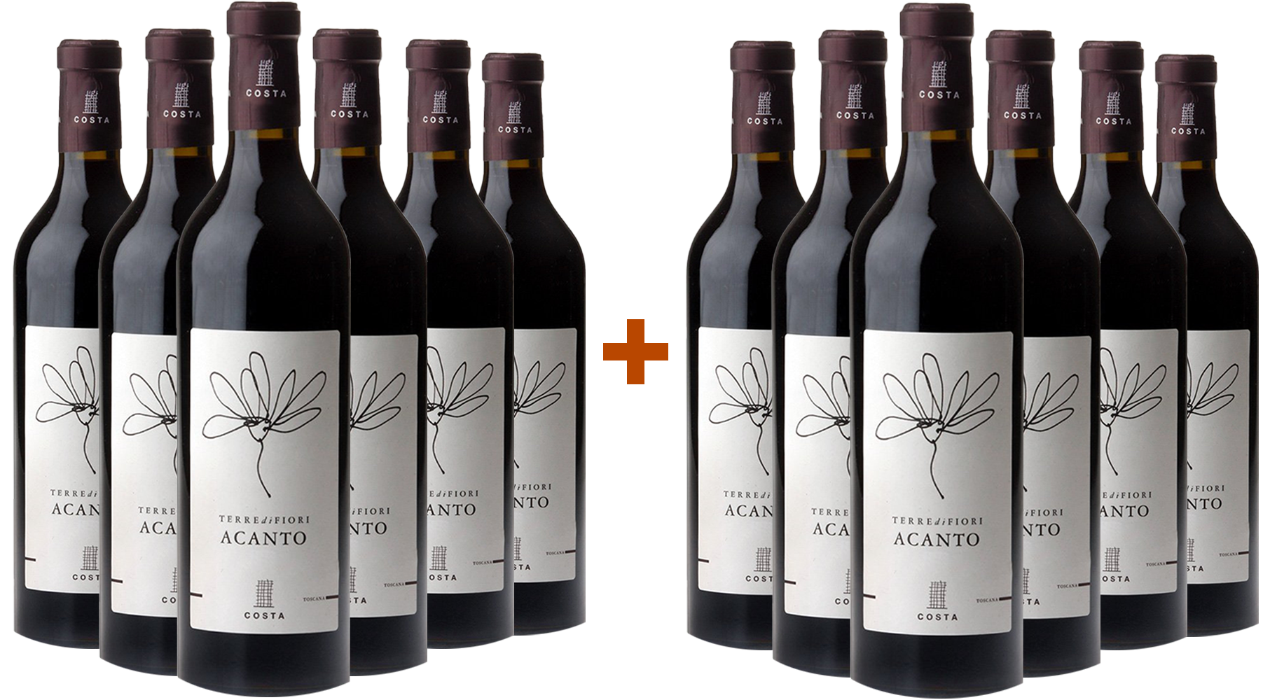 6+6 Paket Terredifiori Acanto Toscana IGP 6+6 Paket Terredifiori Acanto Toscana IGP