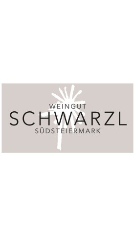 2017 Sauvignon Blanc „aR“ - Weingut Johannes Schwarzl