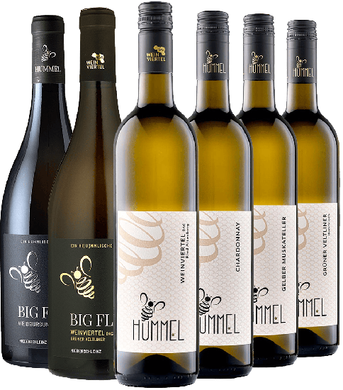 Hummlisches Kennenlern-Paket - Weingut Hummel Weinviertel