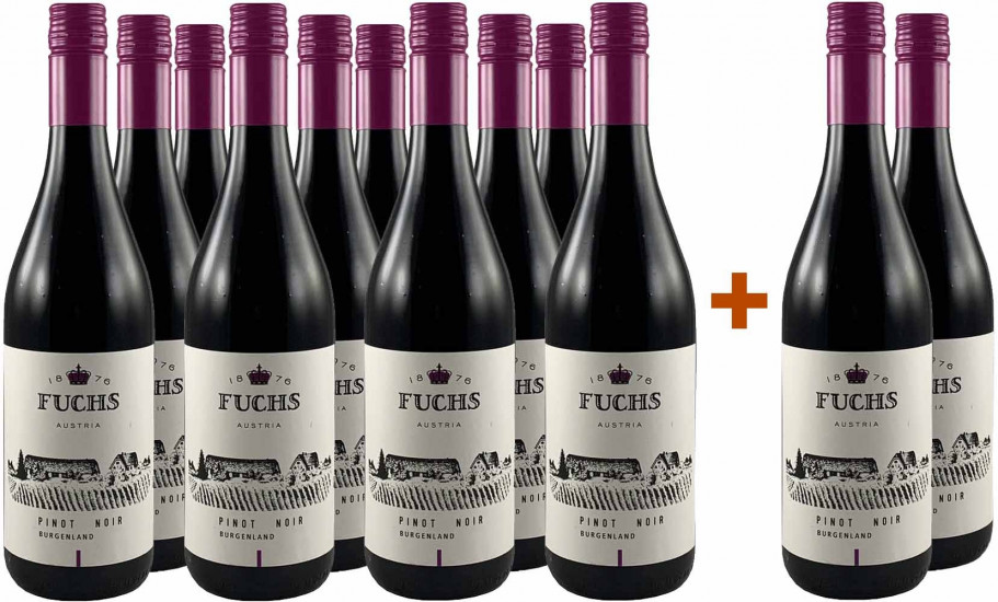 10+2 Burgenland Pinot Noir trocken - Weingut Fuchs 