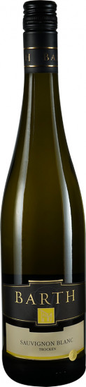 2021 Sauvignon Blanc trocken - Weingut Holger Barth