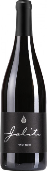 2020 Pinot Noir Ried Szapary trocken - Weingut Jalits