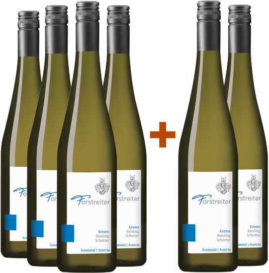 4+2 Paket Riesling Schotter Kremstal DAC - Weingut Forstreiter