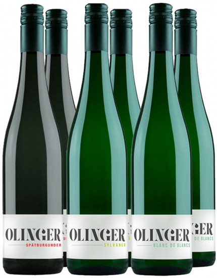 Jungwinzer des Jahres Kennenlern-Paket - Olingerwein