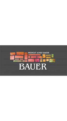 2023 Grüner Veltliner FEUERSBRUNN trocken - Weingut Josef Bauer