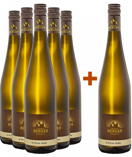 5+1 Paket La Forza Cuvée weiß - Weingut Berger