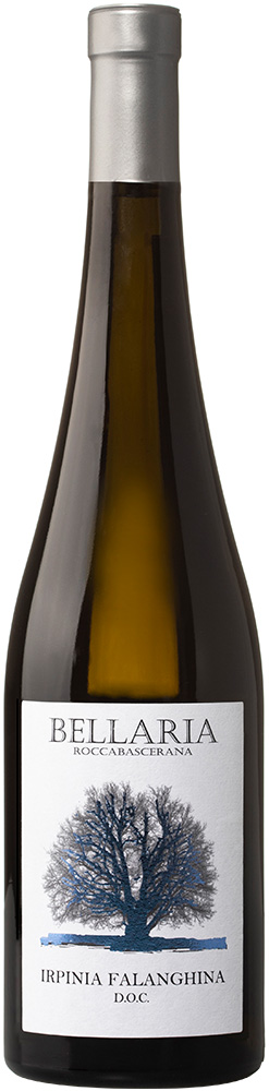 2024 Falanghina Irpinia DOC 2024 Falanghina Irpinia DOC