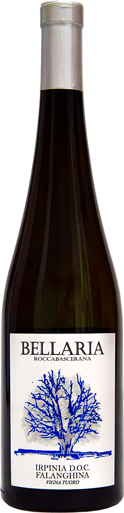 2025 Falanghina Irpinia DOC