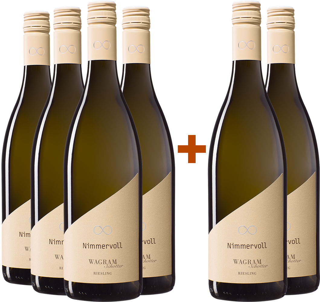 4+2 Paket Riesling "Wagramschotter" trocken