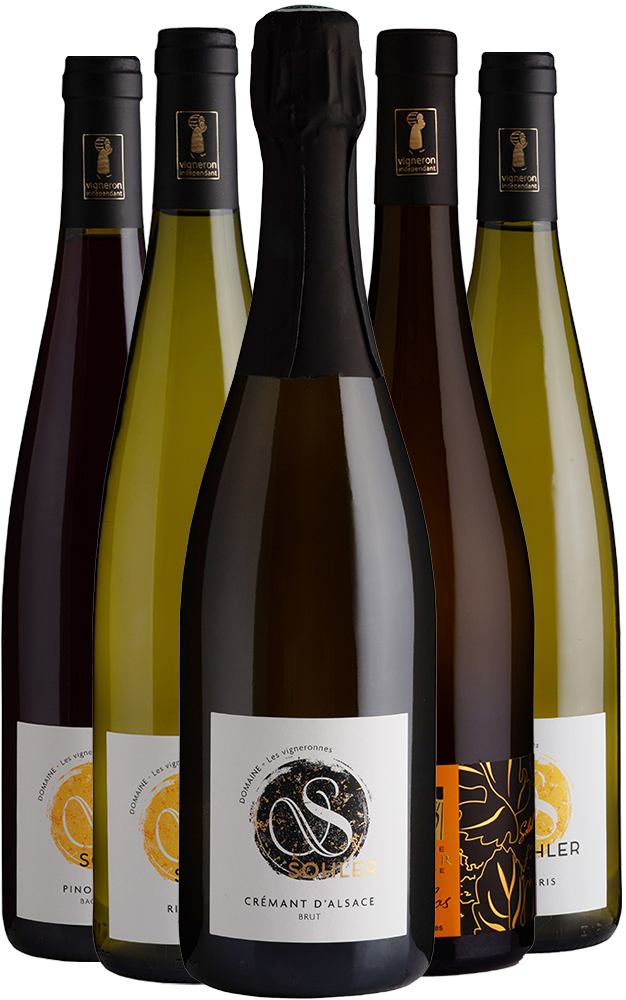 Kennenlern-Paket Domaine Sohler Les Vigneronnes BIO Kennenlern-Paket Domaine Sohler Les Vigneronnes BIO