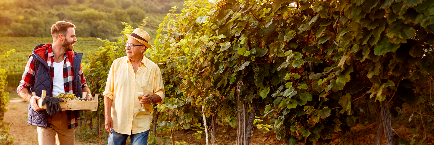 Weine fr die ersten Sonnenstrahlen Weine fr die ersten Sonnenstrahlen