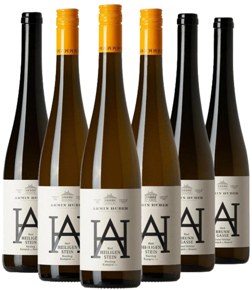 Vertikalverkostung Riesling Zöbinger Heiligenstein Kamptal DAC / 6 verschiedene Jahrgänge Vertikalverkostung Riesling Zöbinger Heiligenstein Kamptal DAC / 6 verschiedene Jahrgänge