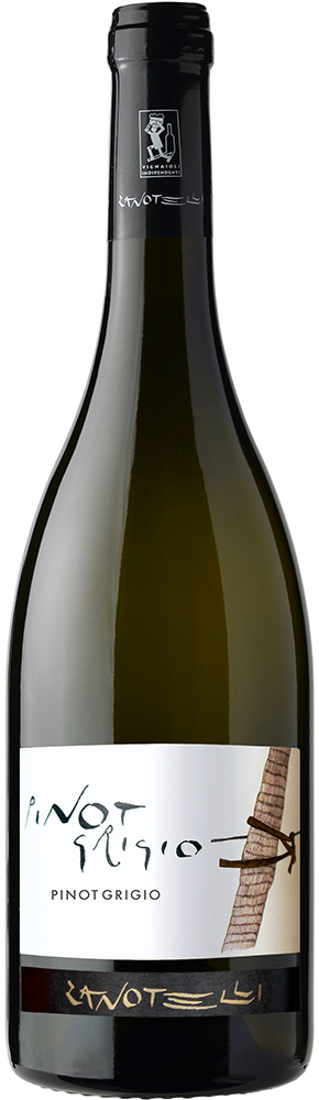 2023 Pinot Grigio Linea Le Strope Trentino DOC