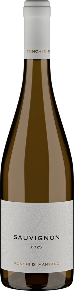 2025 Sauvignon Friuli Colli Orientali DOC