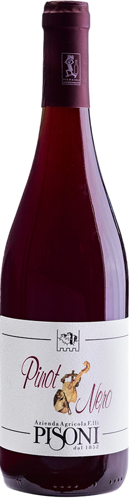 2022 Pinot Nero Vigneti delle Dolomiti IGP BIO 2022 Pinot Nero Vigneti delle Dolomiti IGP BIO