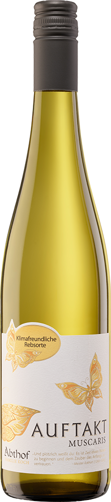 2024 Auftakt Muscaris