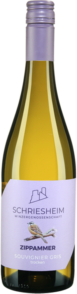2024 Zippammer Souvignier gris
