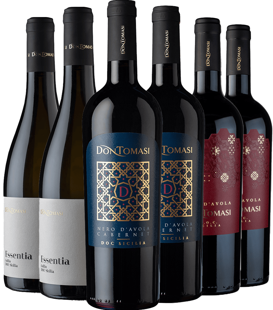  Don Tomasi Kennelern-Paket