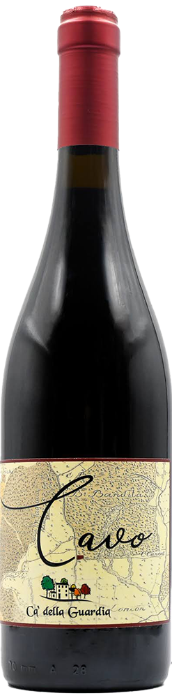 Cavo Cabernet Franc Veneto IGP Cavo Cabernet Franc Veneto IGP