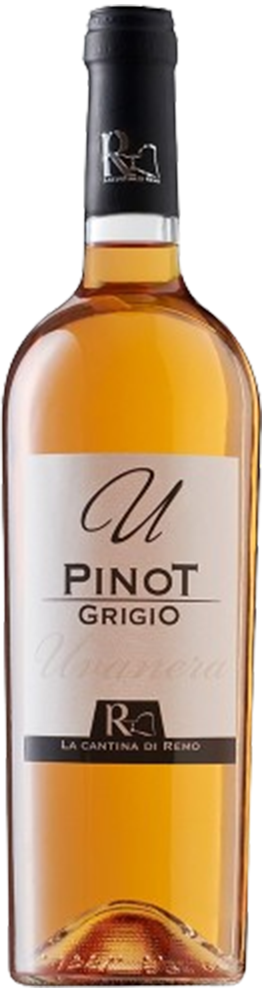 2022 Pinot Grigio Terre degli Osci IGP 2022 Pinot Grigio Terre degli Osci IGP