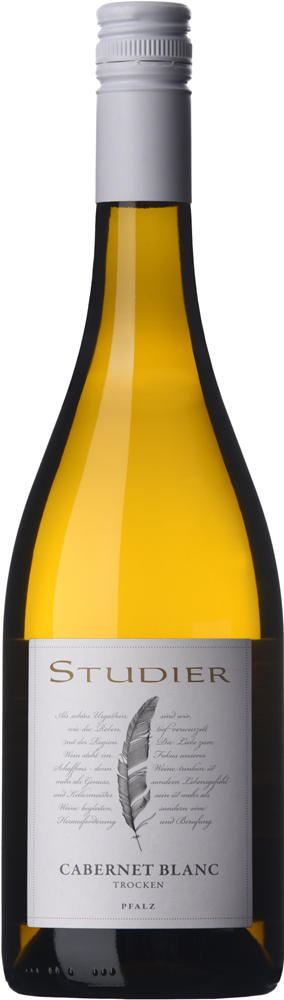 2022 Cabernet Blanc BIO