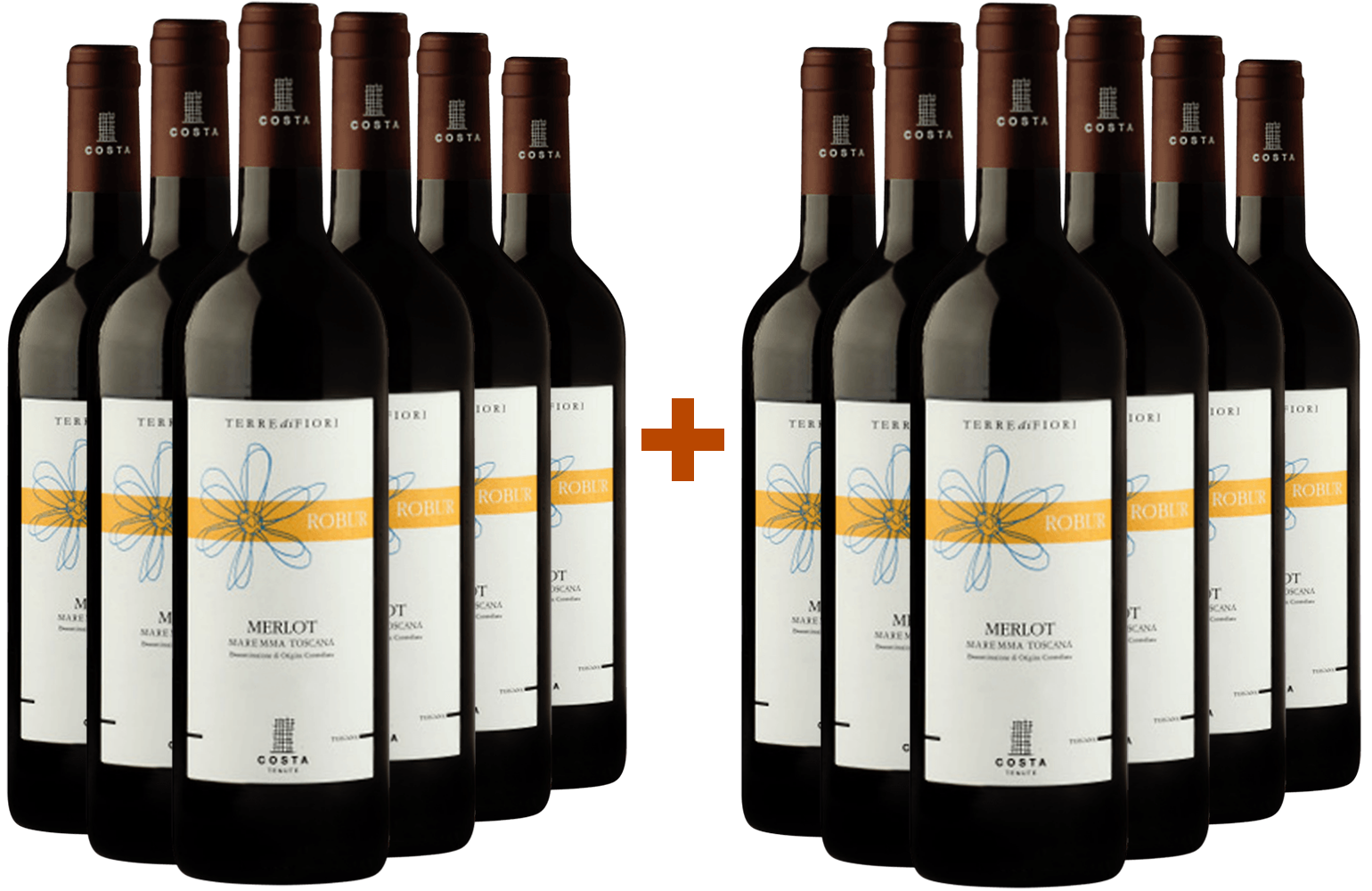 6+6 Paket Robur Merlot Toscana IGP 6+6 Paket Robur Merlot Toscana IGP