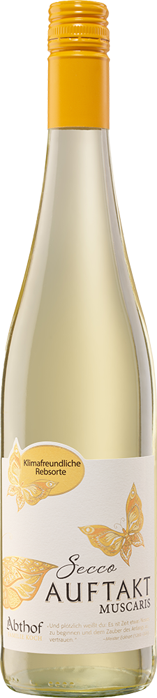 Auftakt Muscaris Secco