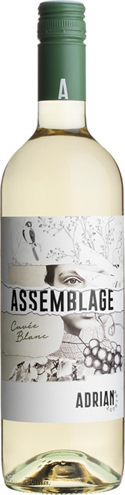 2024 Assemblage 2024 Assemblage