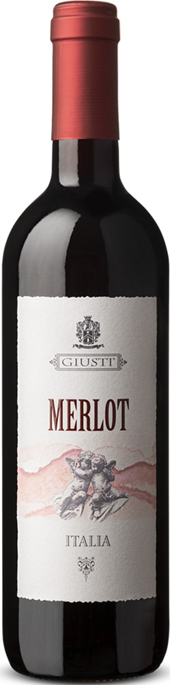 2023 Merlot Veneto IGP 2023 Merlot Veneto IGP