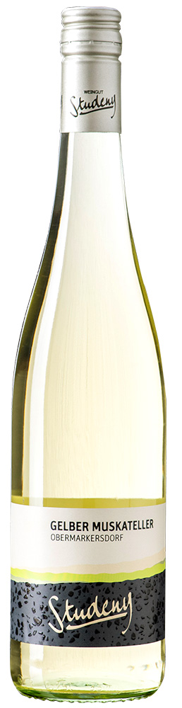 2024 Gelber Muskateller Obermarkersdorf 2024 Gelber Muskateller Obermarkersdorf