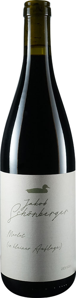 2020 Merlot BIO