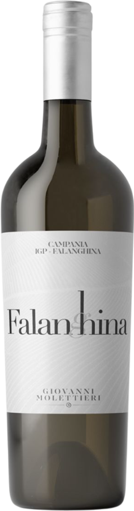 2024 Falanghina Campania IGP 2024 Falanghina Campania IGP