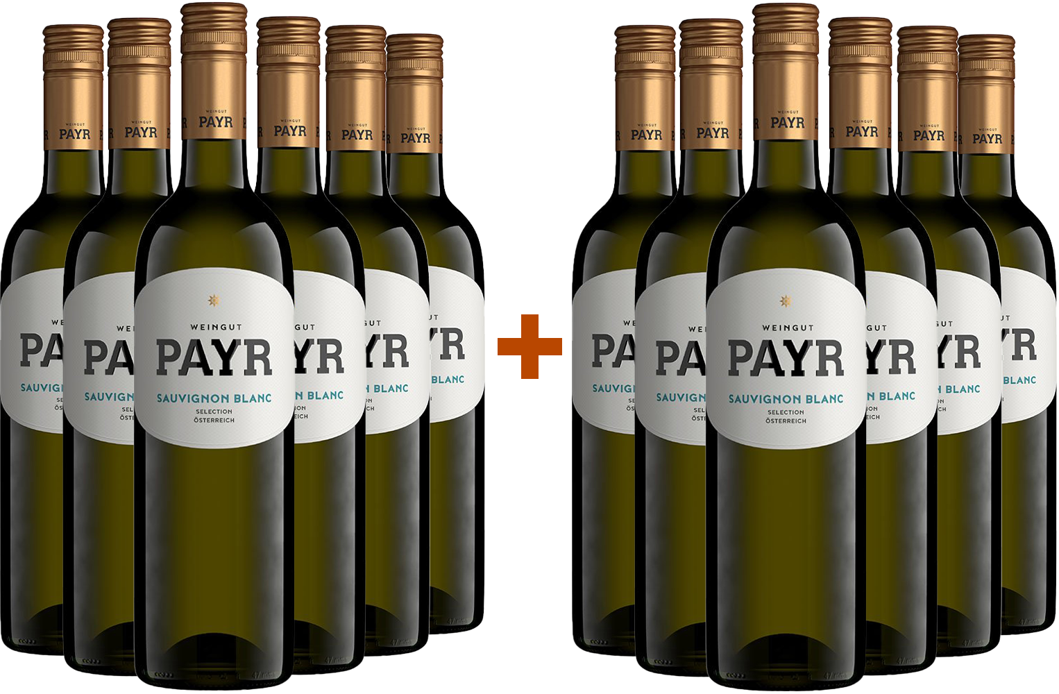 6+6 Sauvignon Blanc Selection ÖTW Gutswein Bio BIO