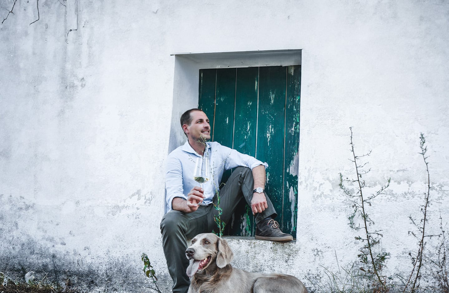 manufacturer_zull_slide_1 manufacturer_zull_slide_1