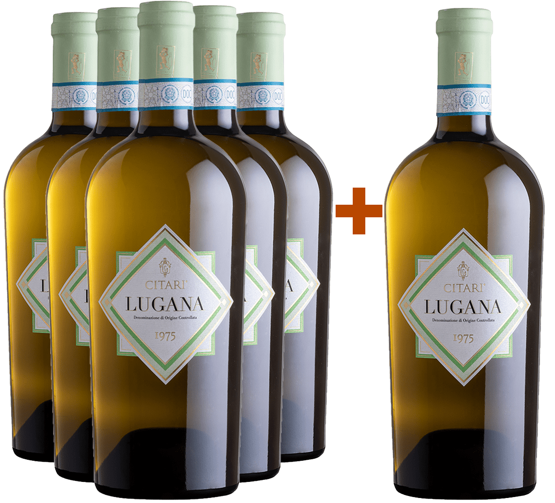 5+1 Paket 1975 Lugana DOC